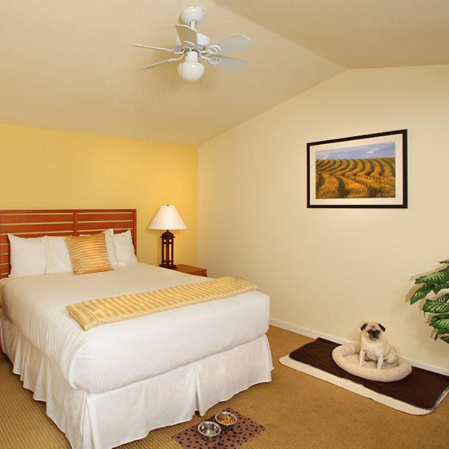 West Sonoma Inn & Spa Guerneville Esterno foto